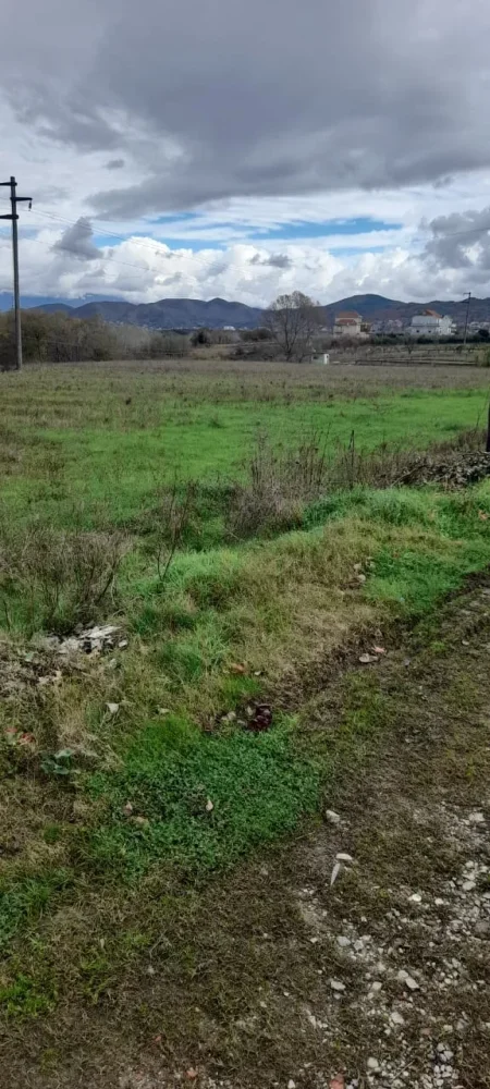 Tirane, shitet toke 2.400 m²  (Ndroq)