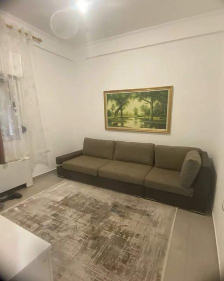 Tirane, jepet me qera apartament 1+1 Kati 1, 75 m² 500 Euro (Liqeni i Thate)