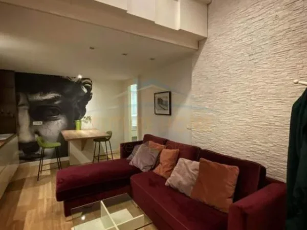 Tirane, jepet me qera apartament duplex 1+1 Kati 0, 70 m² 490 Euro (OPP36495)