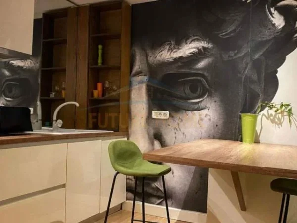 Tirane, jepet me qera apartament duplex 1+1 Kati 0, 70 m² 490 Euro (OPP36495)