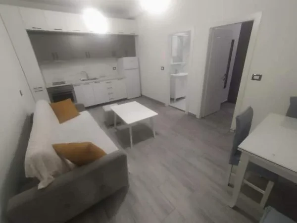 Tirane, jepet me qera apartament Kati 2, 55 m² 450 Euro (Vasil shanto)