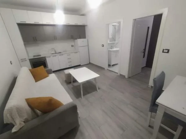 Tirane, jepet me qera apartament Kati 2, 55 m² 450 Euro (Vasil shanto)