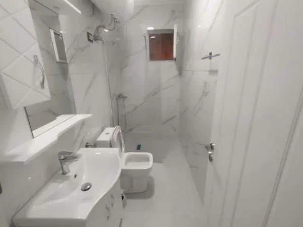 Tirane, jepet me qera apartament Kati 2, 55 m² 450 Euro (Vasil shanto)