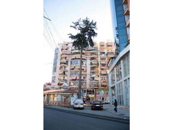 Tirane, jepet me qera ambjent biznesi Kati 0, 89 m² 1.200 Euro (Selvia)