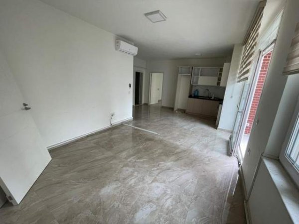 Tirane, jepet me qera 200 m² 1.000 Euro (5 maj)