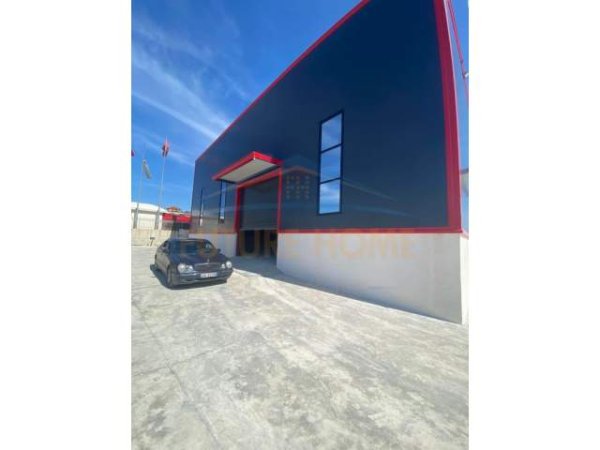 Tirane, jepet me qera magazine Kati 0, 430 m² 1.300 Euro (RRUGA NACIONALE E VJETER)