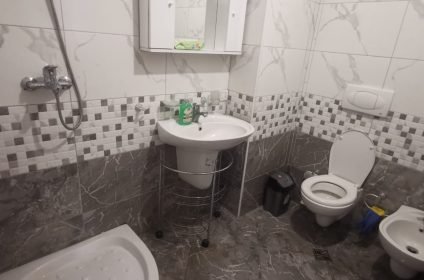 Tirane, jepet me qera apartament 1+1 Kati 1, 60 m² 350 Euro (Frosina Plaku)