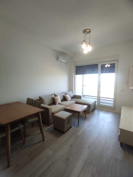 Tirane, jepet me qera apartament 1+1 Kati 9, 60 m² 400 Euro (Frosina Plaku)