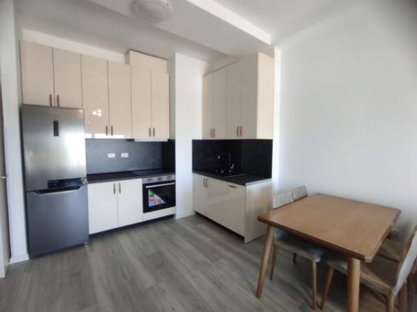 Tirane, jepet me qera apartament 1+1 Kati 9, 60 m² 400 Euro (Frosina Plaku)