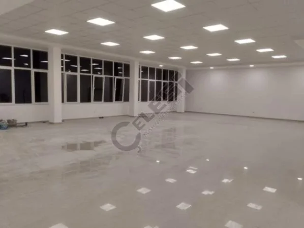 Tirane, jepet me qera ambjent biznesi Kati 0, 260 m² 1.300 Euro (RRUGA PJETER BUDI)