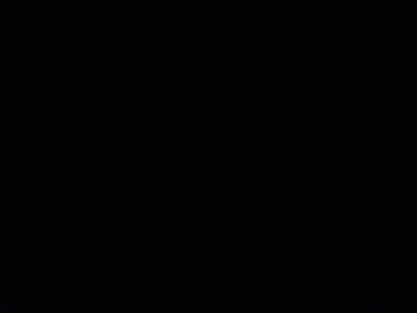 Tirane, jap me qera apartament 2+1 300 Leke (Jepet me Qera)