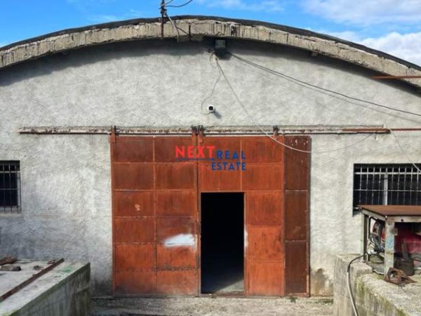 Vlore, jepet me qera magazine Kati 0, 400 m² 800 Euro (BABICE, VLORE)