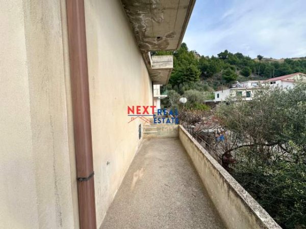 Vlore, shitet shtepi 4+1+A+BLK Kati 0, 384 m² 175.000 Euro (Ne periferi te Vlores)