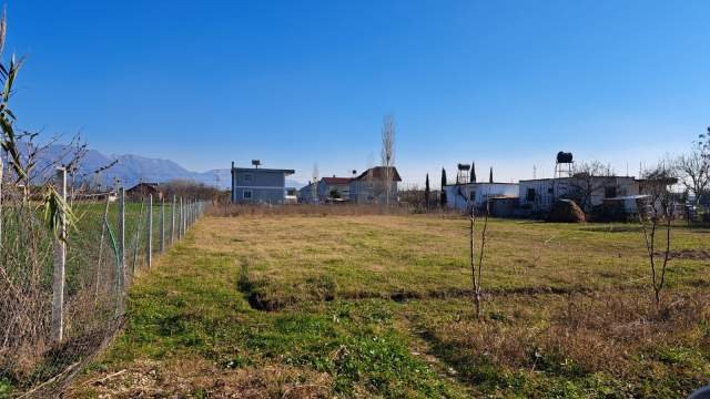 Tirane, shes truall 1.387 m² 86.000 Euro (rruga Marseja)