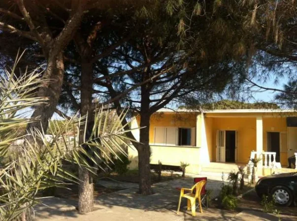 Shkoder, jap me qera garsonier Kati 1, 50 m²  (Velipoje/plazh)