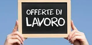 ofroj pune.webp