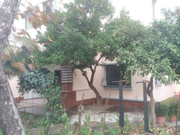 Tirane,Laprake, jap me qera ambjent per bisnes 120 m2+ oborr 50 m2. 50 000 leke