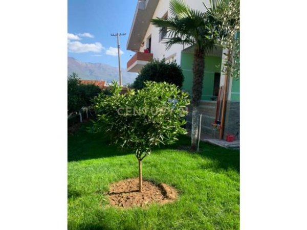 Tirane, jap me qera apartament 1+1 Kati 2, 46 m² 250 Euro (Niko Avrami)