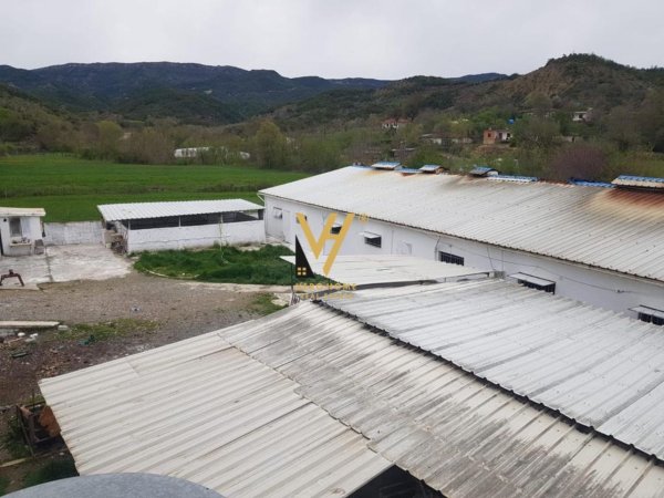 SHITET FERME 400M2 DHE TOKE NE BALDUSHK 250.000 EURO