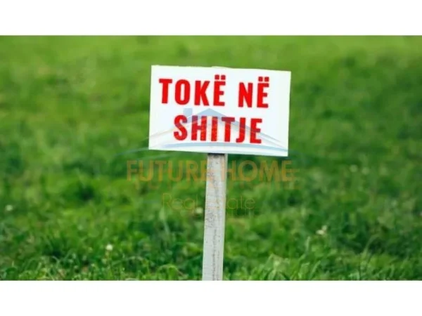 Shitet, Tokë, Cerkeze-Morine ,Tirane