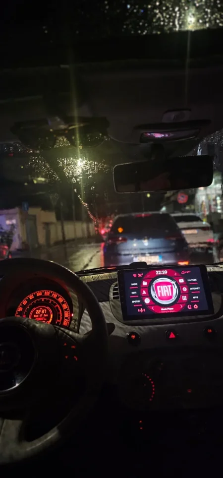 Fiat 500 (Benzine&Gaz), Viti 2008