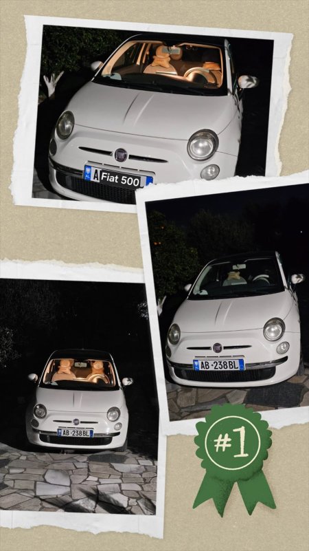 Fiat 500 (Benzine&Gaz), Viti 2008