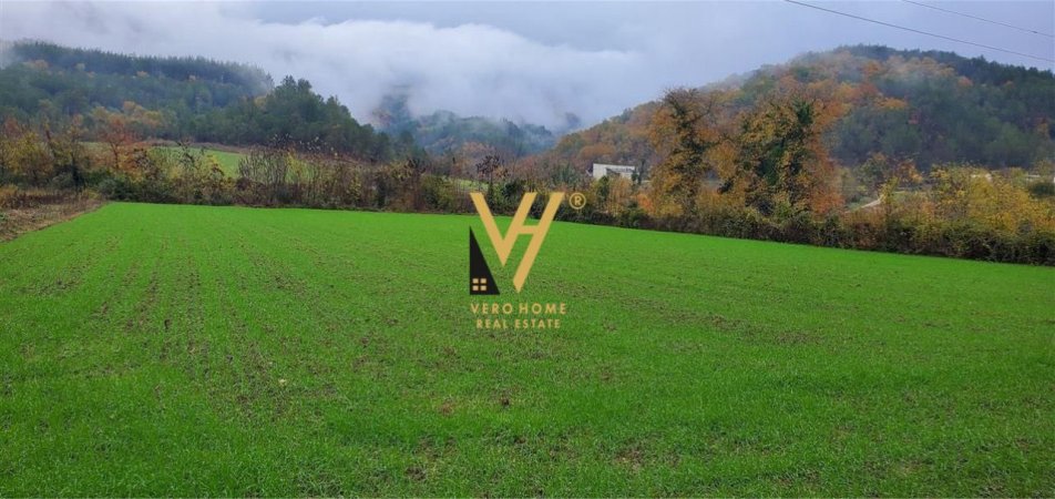 SHITET TOKE 3500M2 NE PETRELE 262.500 EURO