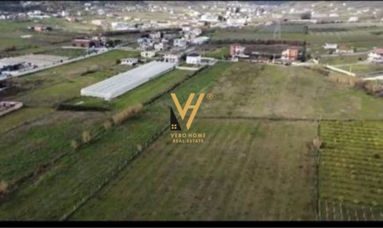 SHITET TOKE 7000 M2 NE PRUSH 770.000 EURO