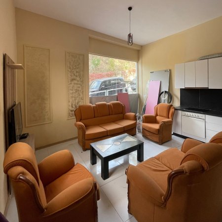 Apartament 1+1 me qera - Kopshti Zoologjik 350 euro