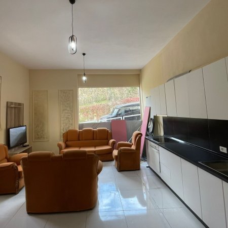 Apartament 1+1 me qera - Kopshti Zoologjik 350 euro