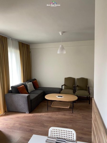 Apartament 1+1 Me Qera Tek Liqeni I Thate (ID B210552) Tirane.