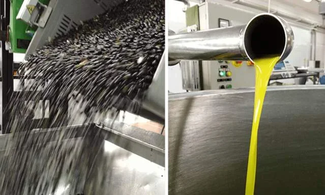 Tirane, shes Shitet Fabrike per Prodhim Vaj Ulliri 20.000 Euro