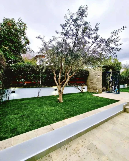 Vile individuale me oborr.