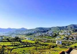 Shitet Toke 7500 m2 ne Mjull-Bathore 262.500 euro (TRS-15319676)