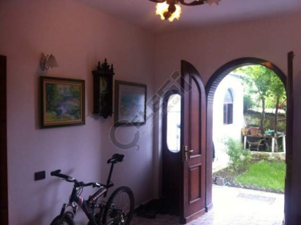 Tirane, jepet me qera 1+1 Kati 1, 80 m² 250 Euro (liqeni thate)