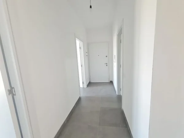 Tirane,Ambient biznesi #meQira (Arlis)