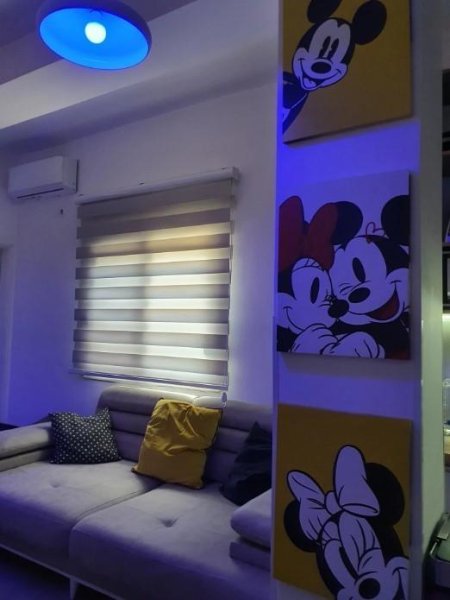 Mickey Mouse Apartment