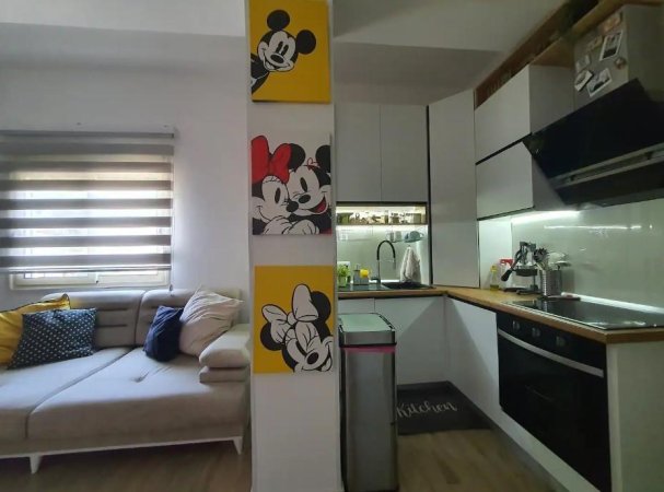 Mickey Mouse Apartment
