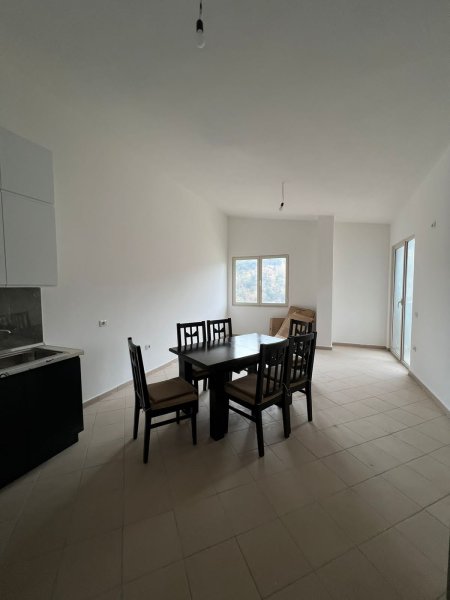 Apartament 2+1 Me Qera Ne Fresk (ID B220709) Tirane