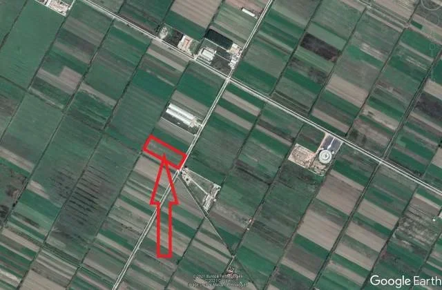 Fier, Shitet Toke Are 9.965 m², Cmimi Referues 5.500.000 Leke (Mbrostar-Ura, Fier)