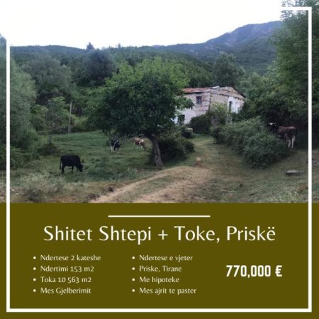 Tirane, shes truall 10.153 m² 770.000 Euro (Priske e Madhe)