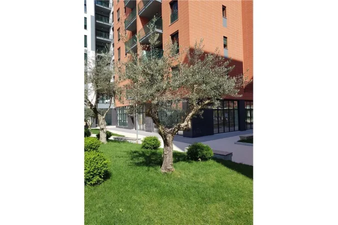 Apartament - Me Qira - Fusha e Aviacionit, Shqipëri  2+1, 550 EURO