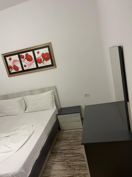 Apartament 1+1 me qera tek 5 Maj