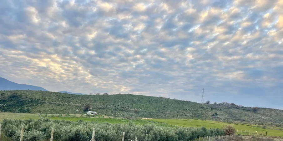 Okazion, Shitet Tok Buz Rruge, Baipasi Radhimes