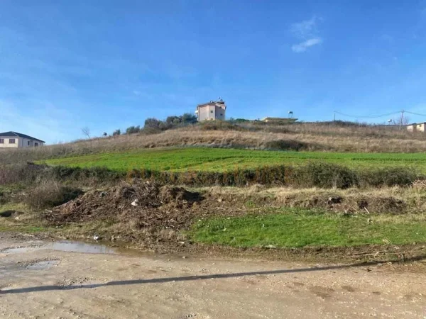 Shitet, Toke, Gjiri i Lalzit.UNA38206