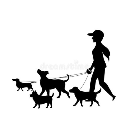 🔴Dog Walking Tirane🔴