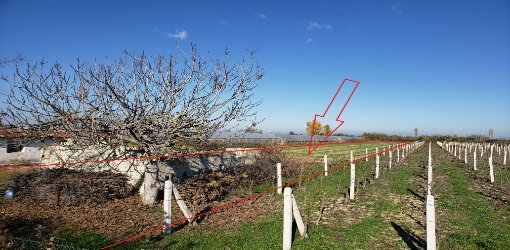 Fier, shitet Toke Are 3.000 m² 4.400.000 Leke (Fshati Kuman)