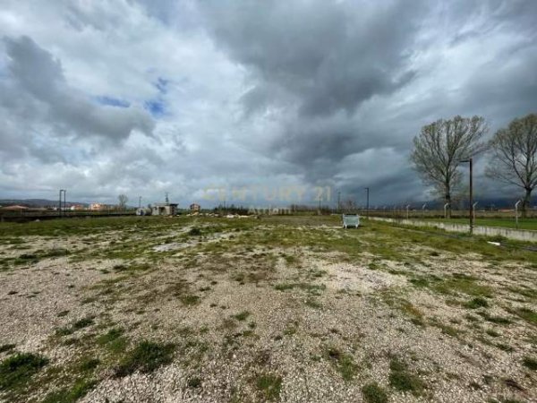 Tirane, jepet me qera ambjent biznesi Kati 1, 8.824 m² 4.000 Euro (Budull, Rinas)