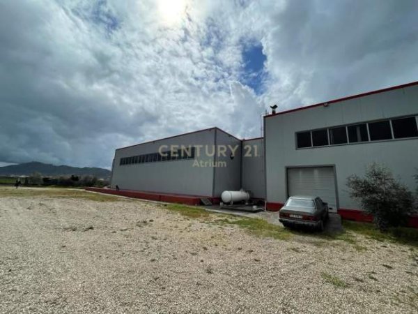 Tirane, jepet me qera ambjent biznesi Kati 1, 8.824 m² 4.000 Euro (Budull, Rinas)