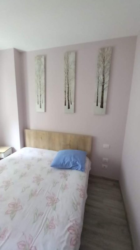 Apartament 2+1 me qira prane  Kopshtit Zoologjik ne Tirane